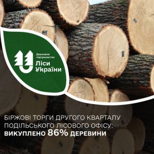 Біржові торги Подільського лісового офісу другого кварталу завершено: викуплено 86% деревини